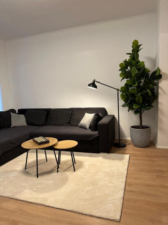 Ferienwohnung Haus Paraschiv Aue  Extérieur photo